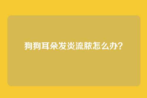 狗狗耳朵发炎流脓怎么办？