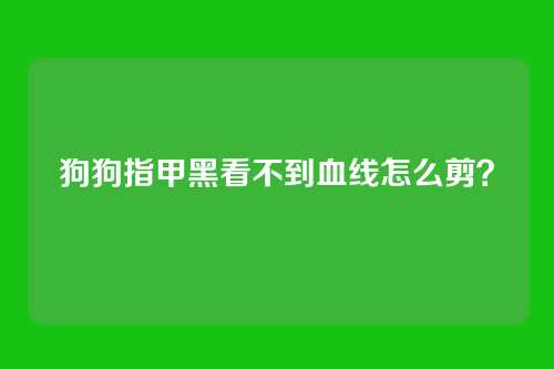 狗狗指甲黑看不到血线怎么剪？