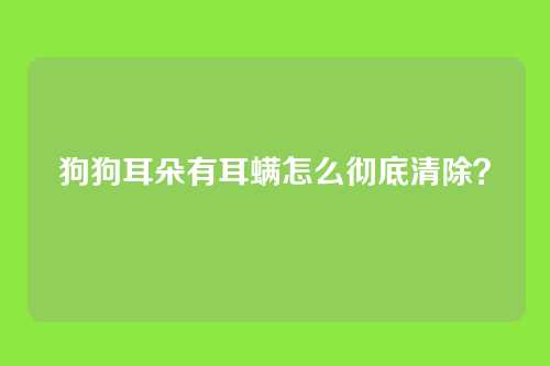 狗狗耳朵有耳螨怎么彻底清除？