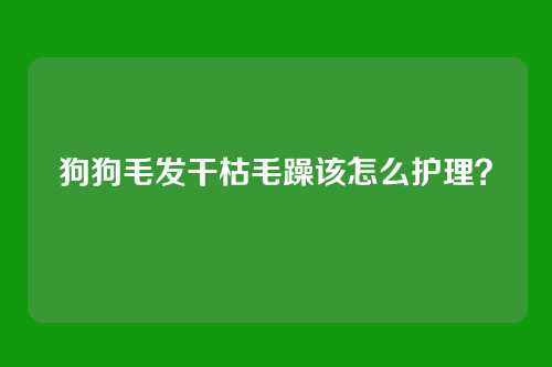 狗狗毛发干枯毛躁该怎么护理？