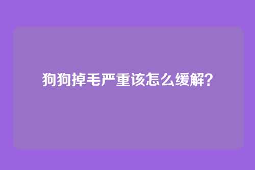 狗狗掉毛严重该怎么缓解？