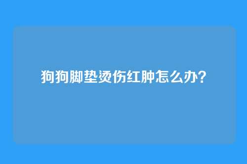 狗狗脚垫烫伤红肿怎么办？