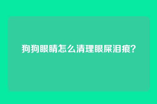 狗狗眼睛怎么清理眼屎泪痕？