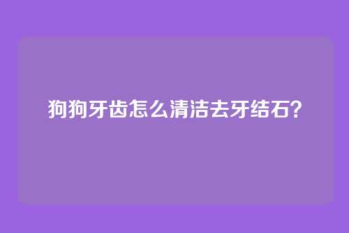 狗狗牙齿怎么清洁去牙结石？