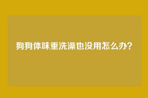 狗狗体味重洗澡也没用怎么办？