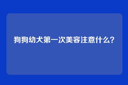 狗狗幼犬第一次美容注意什么？