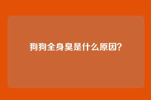 狗狗全身臭是什么原因？