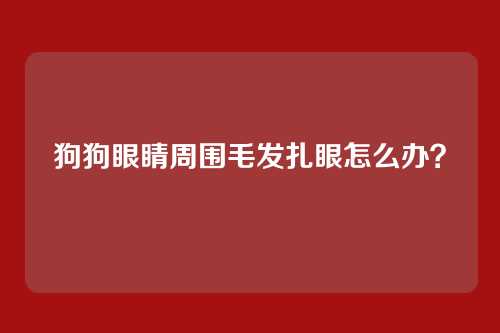 狗狗眼睛周围毛发扎眼怎么办?
