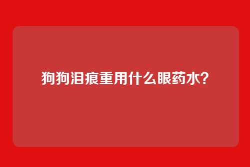 狗狗泪痕重用什么眼药水？