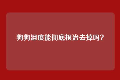 狗狗泪痕能彻底根治去掉吗？