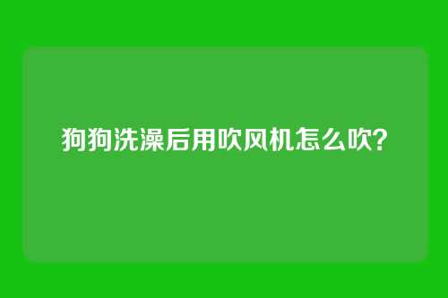 狗狗洗澡后用吹风机怎么吹？