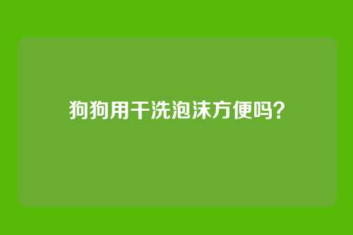 狗狗用干洗泡沫方便吗?
