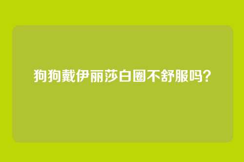 狗狗戴伊丽莎白圈不舒服吗？