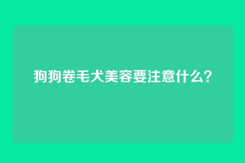 狗狗卷毛犬美容要注意什么？