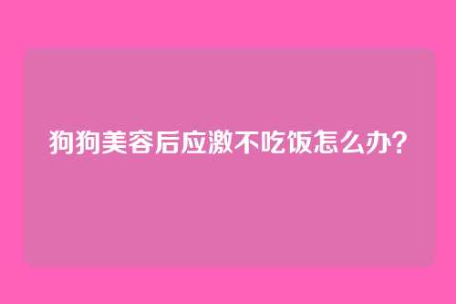 狗狗美容后应激不吃饭怎么办?