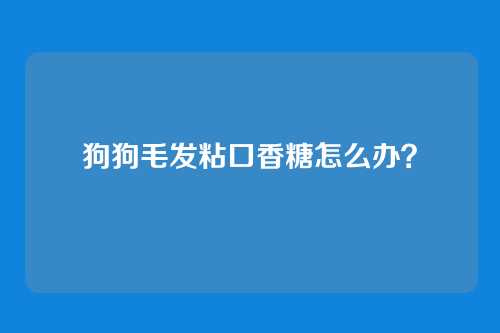 狗狗毛发粘口香糖怎么办？