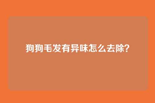 狗狗毛发有异味怎么去除？