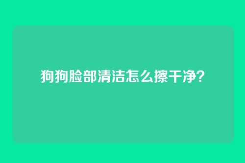 狗狗脸部清洁怎么擦干净？