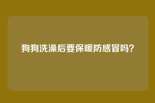 狗狗洗澡后要保暖防感冒吗？