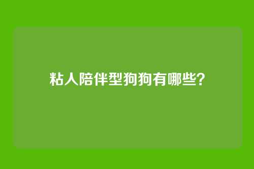 粘人陪伴型狗狗有哪些？