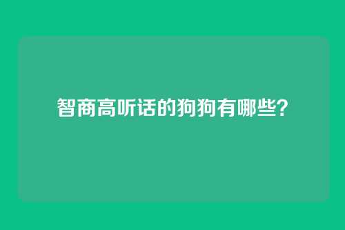 智商高听话的狗狗有哪些？