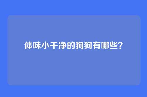 体味小干净的狗狗有哪些？
