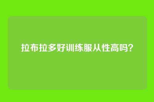 拉布拉多好训练服从性高吗？