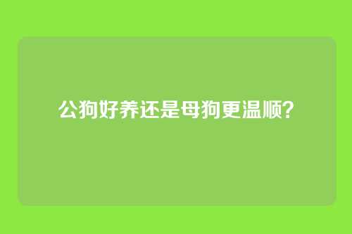 公狗好养还是母狗更温顺？