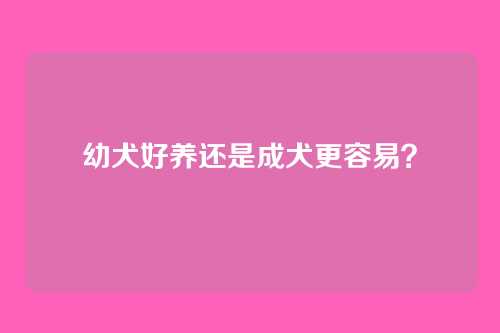 幼犬好养还是成犬更容易？