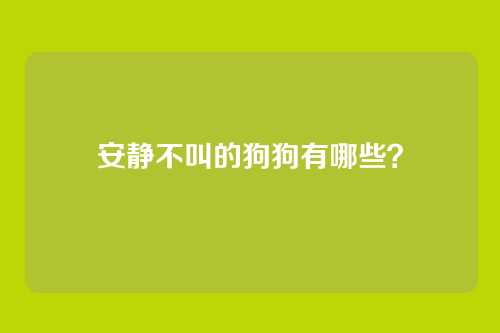 安静不叫的狗狗有哪些？