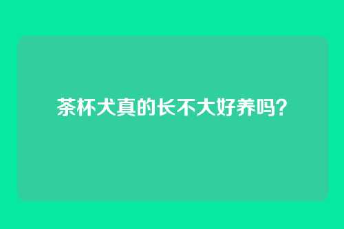 茶杯犬真的长不大好养吗？