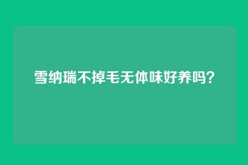 雪纳瑞不掉毛无体味好养吗？