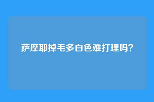 萨摩耶掉毛多白色难打理吗？