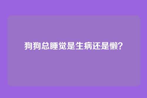 狗狗总睡觉是生病还是懒？
