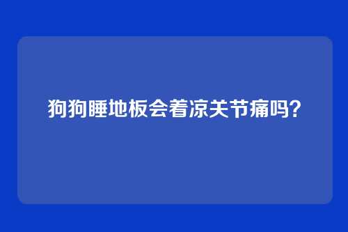 狗狗睡地板会着凉关节痛吗？