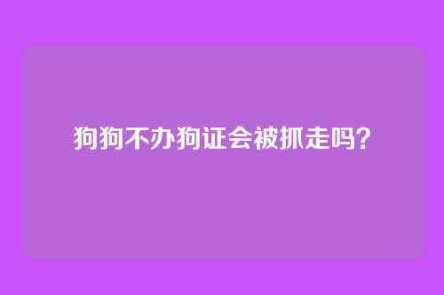 狗狗不办狗证会被抓走吗？