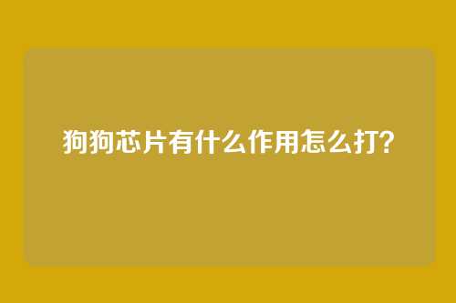 狗狗芯片有什么作用怎么打？