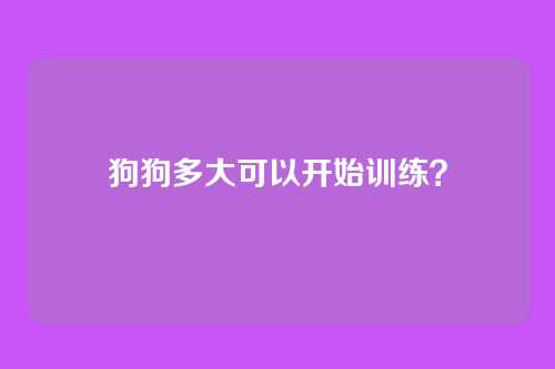 狗狗多大可以开始训练?