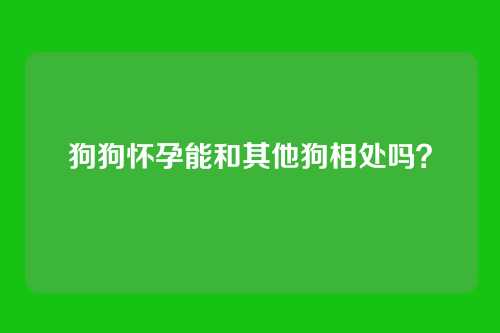 狗狗怀孕能和其他狗相处吗？
