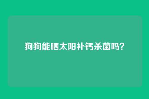 狗狗能晒太阳补钙杀菌吗？