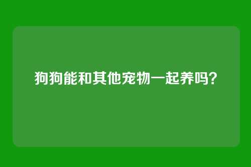 狗狗能和其他宠物一起养吗？