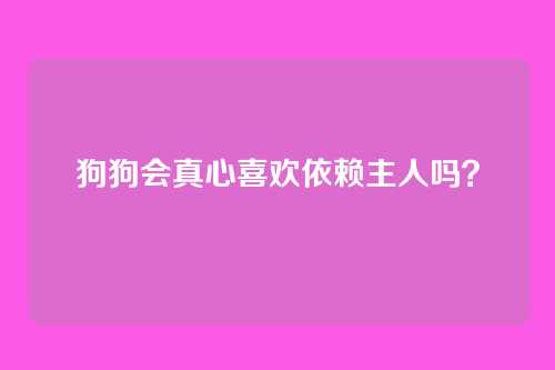 狗狗会真心喜欢依赖主人吗？
