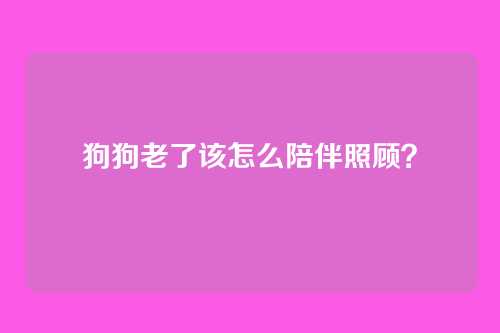 狗狗老了该怎么陪伴照顾？