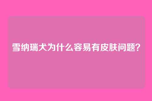 雪纳瑞犬为什么容易有皮肤问题？