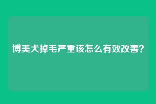 博美犬掉毛严重该怎么有效改善?