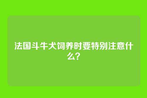 法国斗牛犬饲养时要特别注意什么？