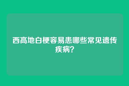 西高地白梗容易患哪些常见遗传疾病？