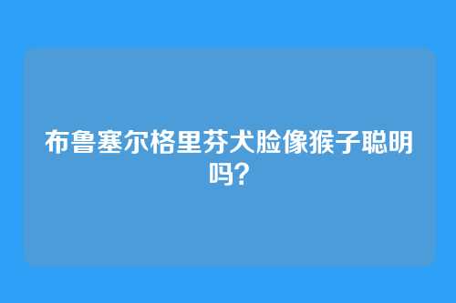 布鲁塞尔格里芬犬脸像猴子聪明吗？