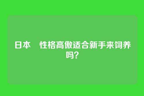 日本狆性格高傲适合新手来饲养吗？