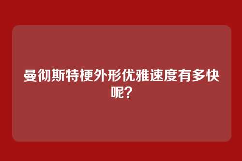 曼彻斯特梗外形优雅速度有多快呢？